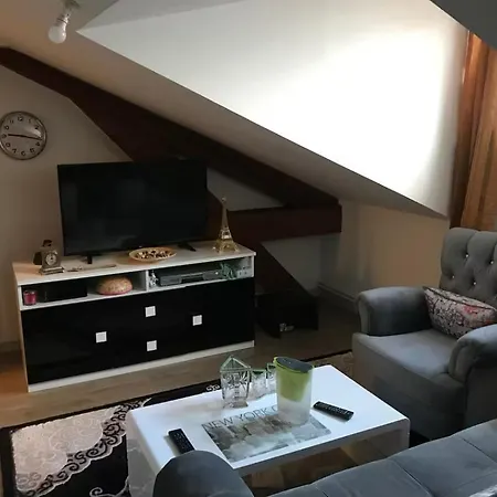 Chambre Dans Logement Partage Quartier Gerland Lyon